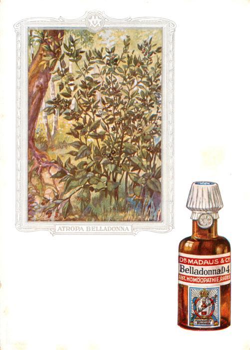Medizin Dr. Madaus Belladonna D4