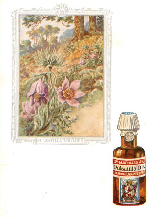 Medizin Dr. Madaus homoeopathische Heilmittel Pulsatilla D4