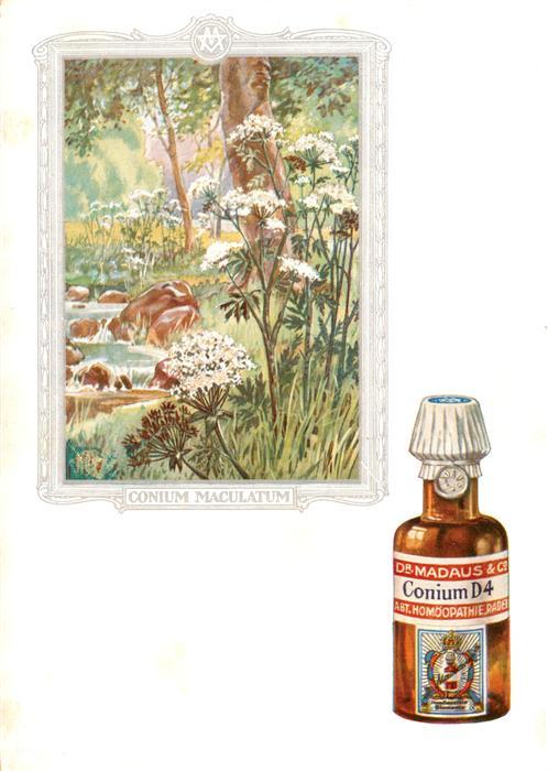 Medizin Dr. Madaus Conium D4