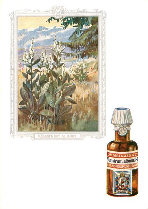 Medizin Dr. Madaus Hooepathischer Heilmittel  Nenatrum album D4