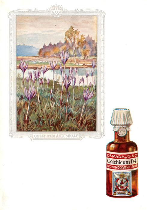 Medizin Dr. Madaus Hooepathischer Heilmittel Cilchicum D4