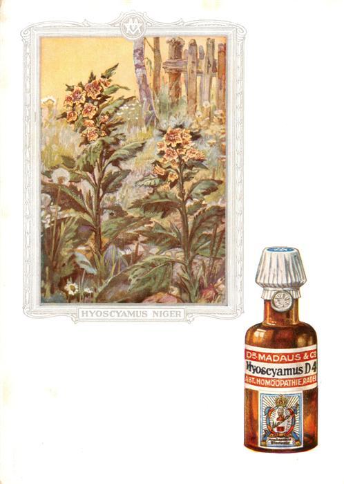 Medizin Dr. Madaus Hooepathischer Heilmittel  Hyoscyamus D4