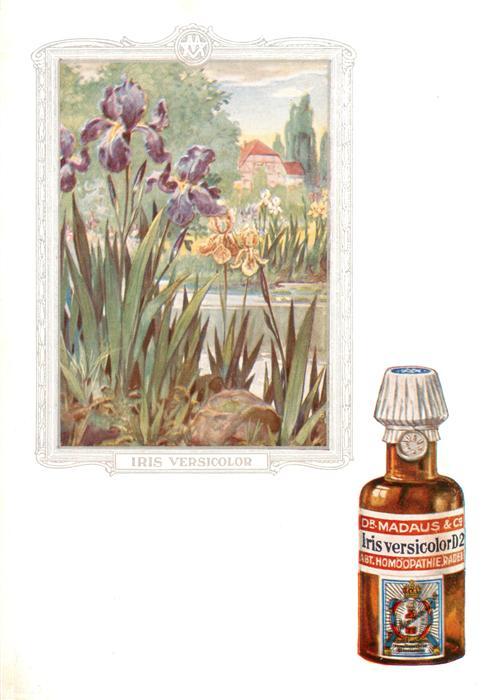 Medizin Dr. Madaus Hooepathischer Heilmittel  Iris Versicolor D2