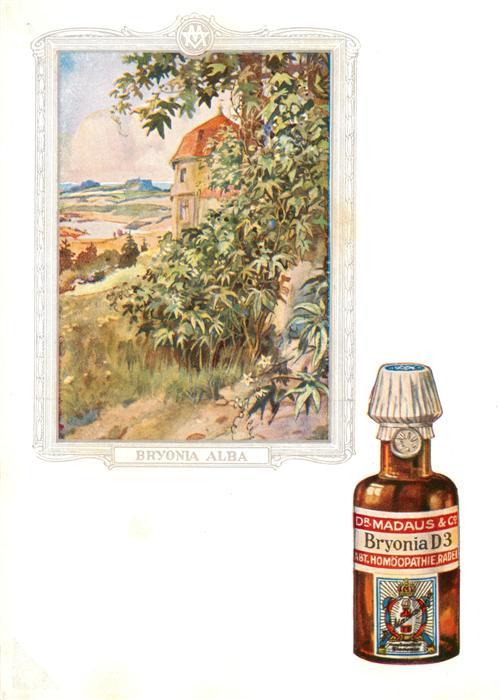 Medizin Dr. Madaus Hooepathischer Heilmittel Bryonia D3
