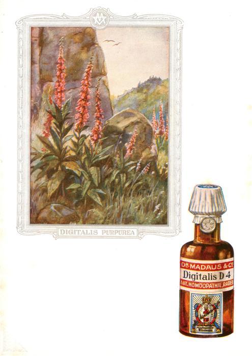 Medizin Dr. Madaus Hooepathischer Heilmittel Digitalis D4