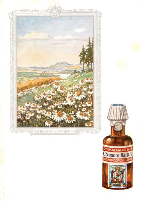 Medizin Dr. Madaus Hooepathischer Heilmittel Chamomilla D3
