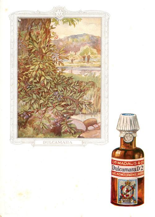 Medizin Dr. Madaus Hooepathischer Heilmittel Dulcamara D2