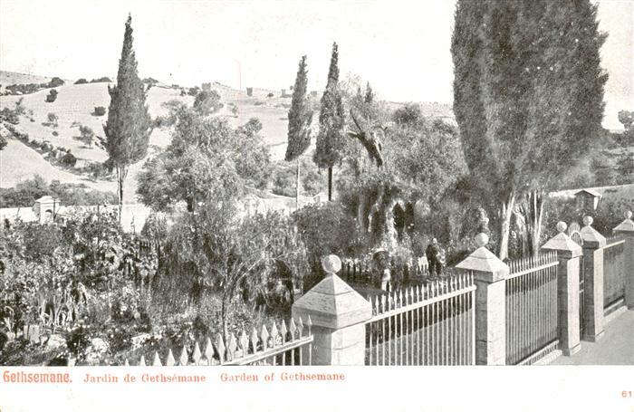 Gethsemane Gethsemani Israel Jardin de Gethsemane