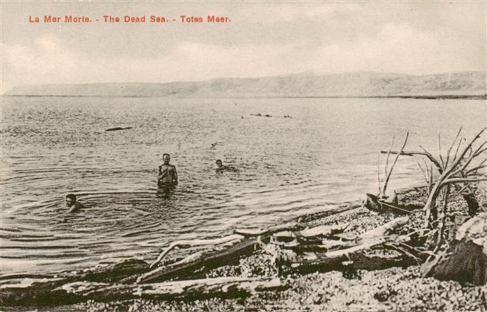 Dead Sea Totes Meer Israel Seepanorama