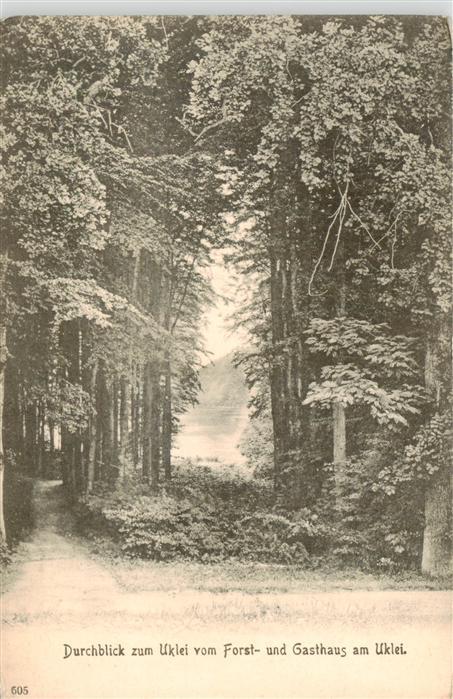 Ukleisee Eutin Durchblick zum Uklei vom Forst und Gasthaus am Uklei