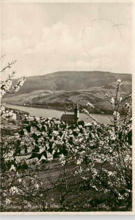 Lorch Rheingau Panorama