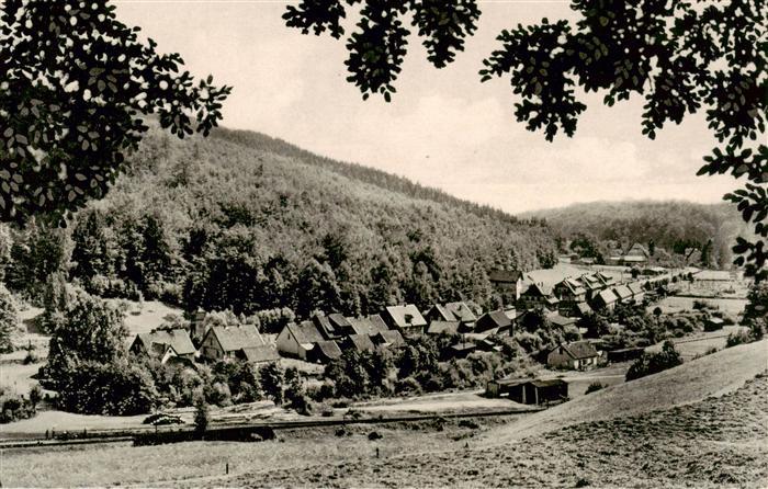 Wieda Osterode Harz Niedersachsen Blick vom Knicking