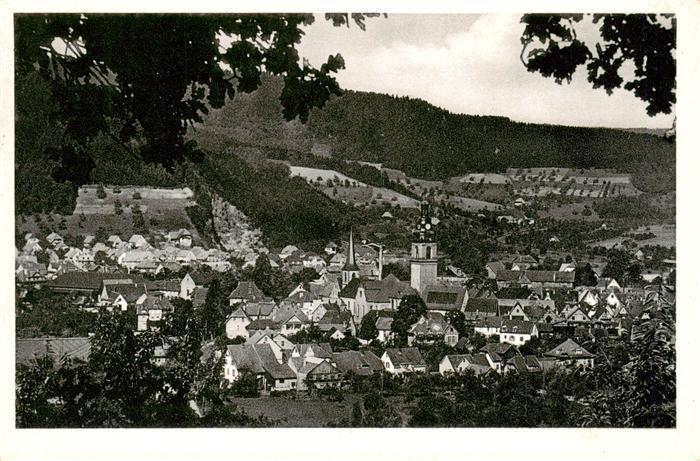 Haslach Kinzigtal Panorama