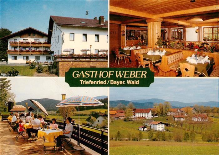 Triefenried Niederbayern Gasthof Weber Gaststube Terrasse Panorama