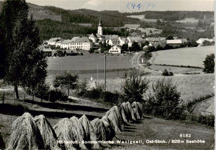 Wenigzell Panorama