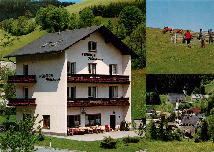 Gasen Pension Poellabaur Ortspartie Viehweide
