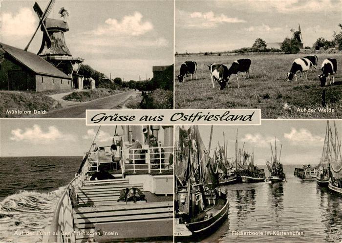 Ostfriesland Muehle am Deich Kuhweide Fahrt zu den Friesischen Inseln Fischerboo