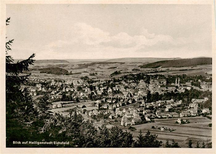 Heiligenstadt  Eichsfeld Panorama