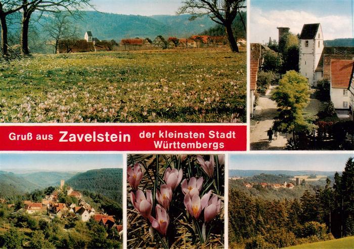 Zavelstein Panorama Kirche Teilansichten
