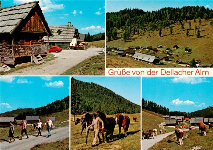 Dellacheralm 1365m Hermagor Kaernten AT Dorfmotiv Panorama Wandern Pferde Kuehe