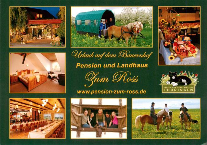 Witterda Pension und Landhaus Zum Ross Gastraeume Zimmer Pferdebus Reiter