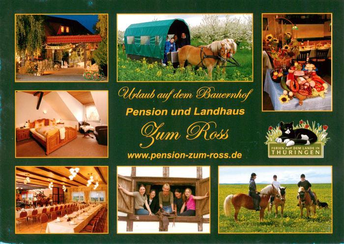 Witterda Pension und Landhaus Zum Ross Gastraeume Zimmer Pferdebus Ponyreiten