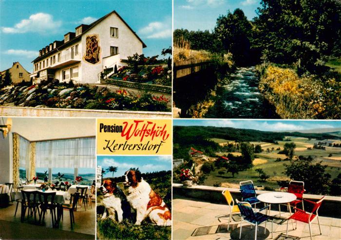 Kerbersdorf Bad Soden-Salmuenster Pension Wolfshoeh Gastraum Bernhardiner Terras