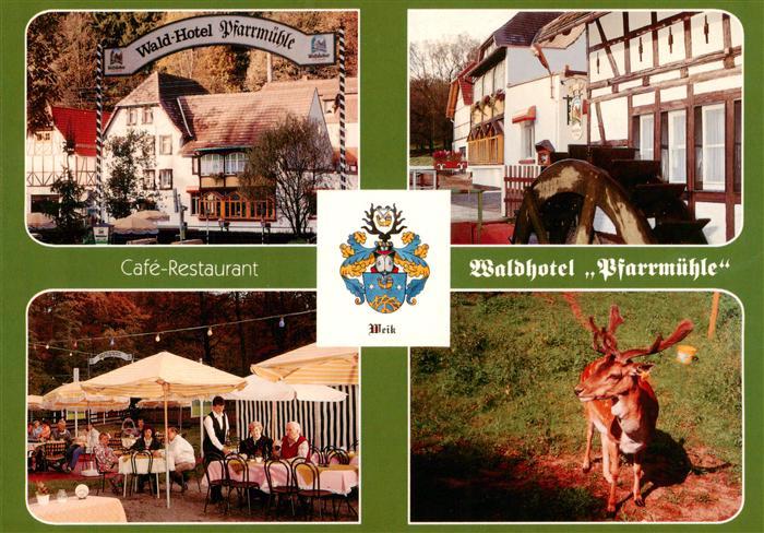 Eisenberg  Thueringen Cafe Restaurant Waldhotel Pfarrmuehle Freiterrasse Reh