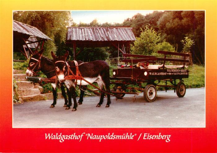 Eisenberg  Thueringen Waldgasthof Naupoldsmuehle Eselsfuhrwerk