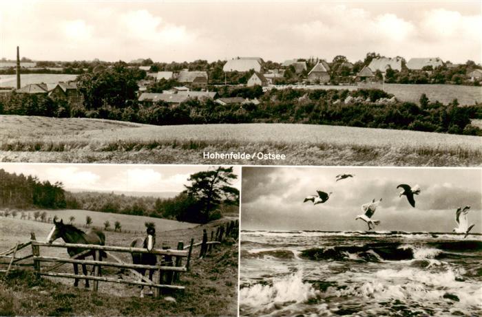 Hohenfelde Ostsee Panorama Pferdekoppel Stuermische See