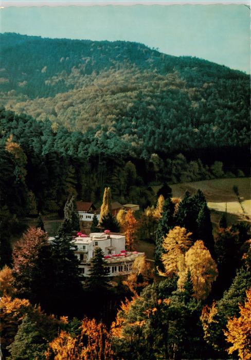 Bergzabern Bad Parkhotel Fliegeraufnahme