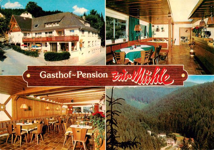 Schuebelhammer Gasthof Pension zur Muehle Gastraeume Panorama