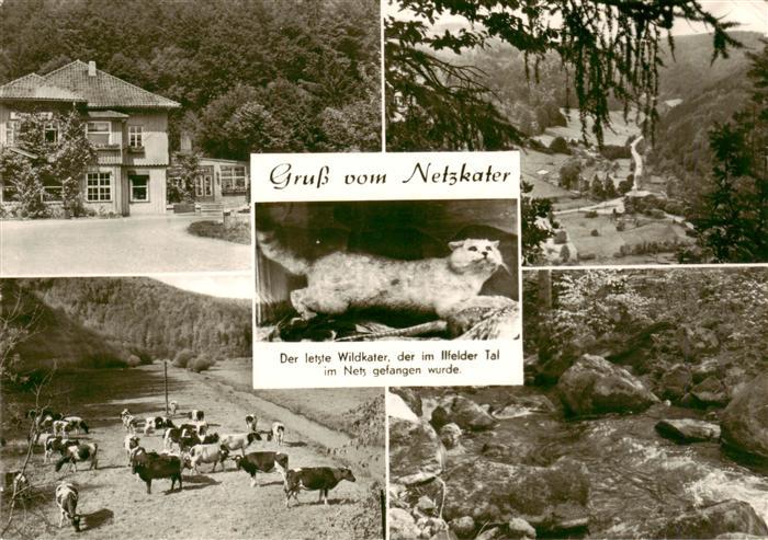 Ilfeld Suedharz Gasthaus Rinderherde Panorama Der letzte Wildkater der im Ilfeld