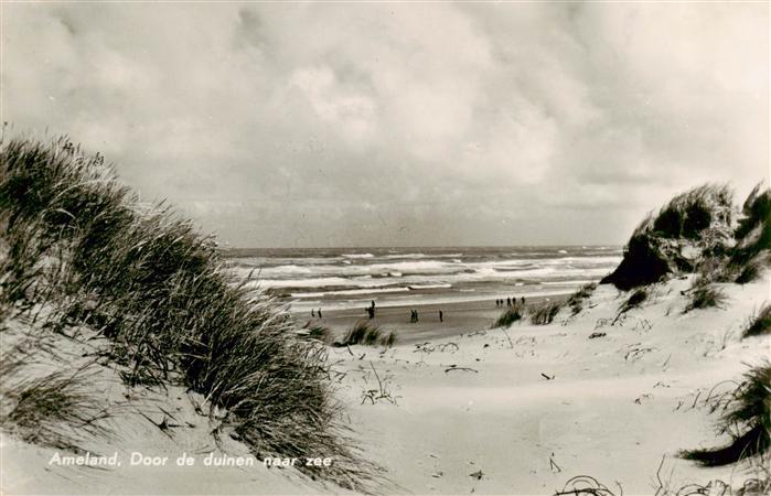 Ameland NL Door de duinen maar zee