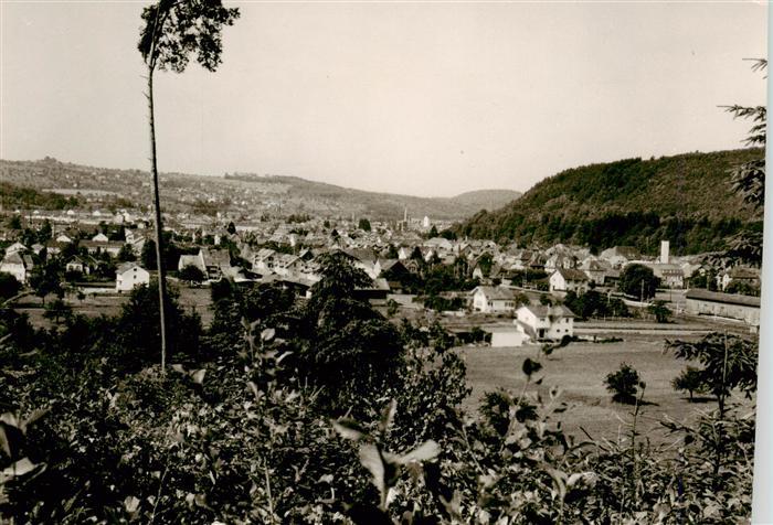 TueBINGEN BW Panorama
