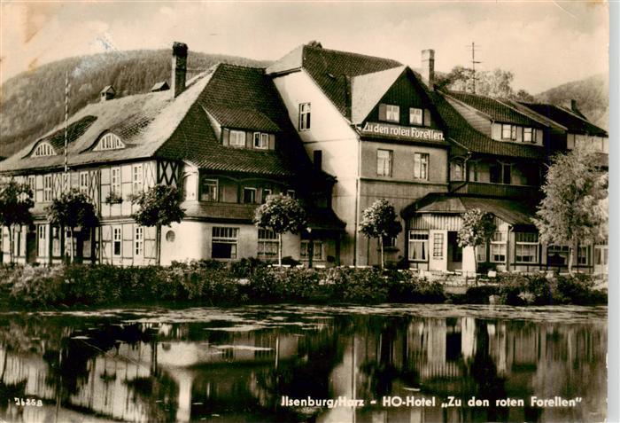 Ilsenburg Harz HO Hotel Zu den roten Forellen