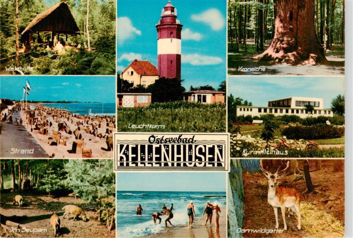 Kellenhusen Ostseebad Waldhuette Strand Im Saupark Kroneiche Kurmittelhaus Damwi