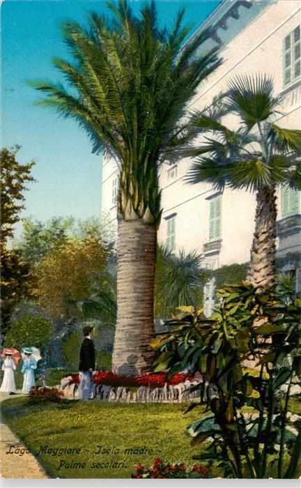Isola Madre Lago Maggiore Stresa IT Palme secolari