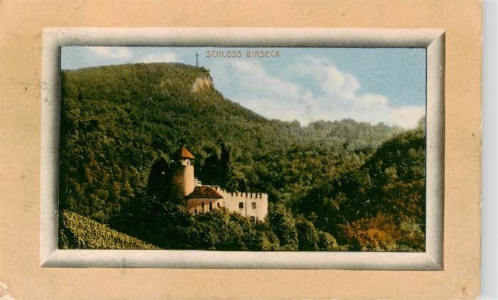 Arlesheim BL Schloss Birseck