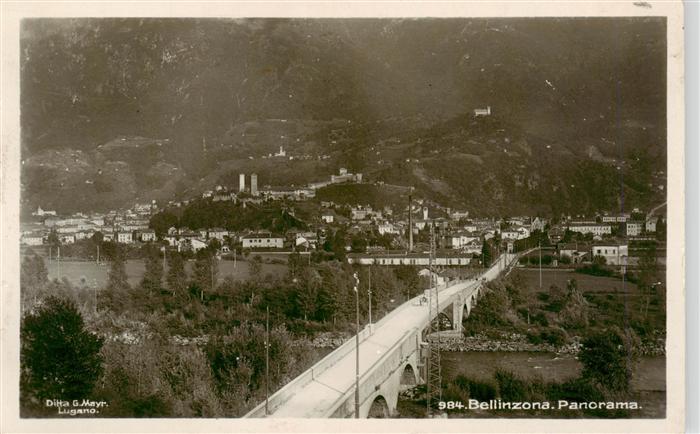 Bellinzona TI Panorama