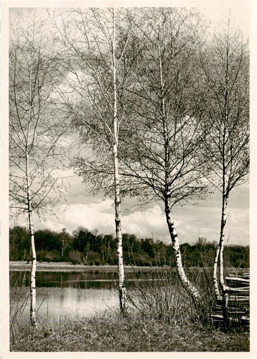 Altenrhein SG Seepartie