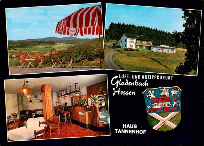 Gladenbach Hessen Haus Tannenhof Gastraum Panorama Terrasse