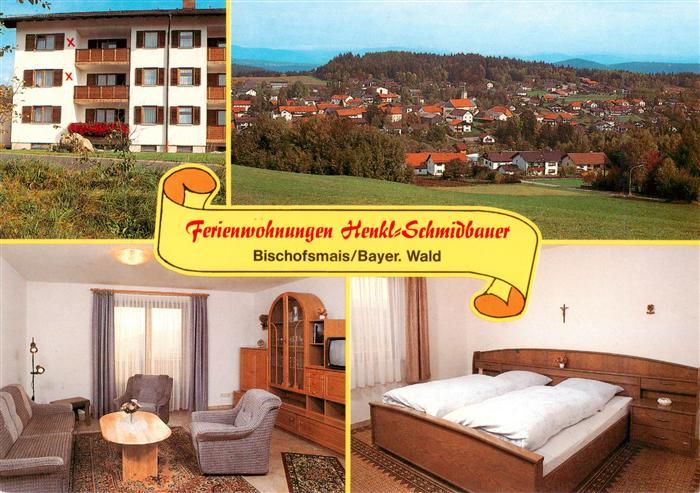 Bischofsmais Ferienwohnungen Henkl Schmidbauer Gaestezimmer Panorama