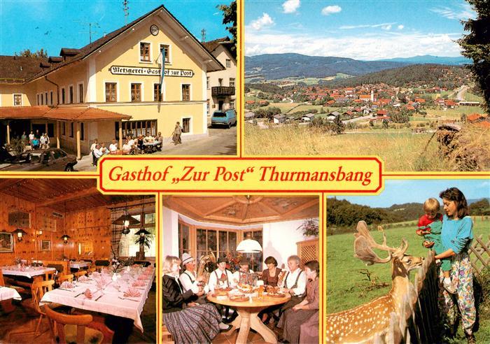 Thurmansbang Gasthof Zur Post Gastraeume Panorama Damhirsch