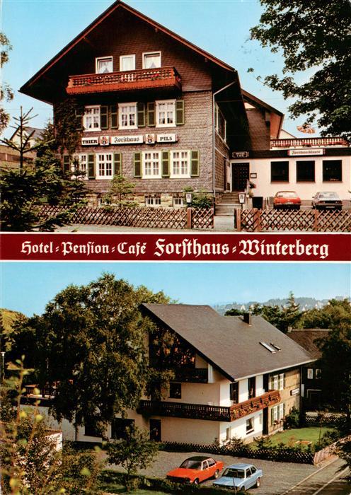 Winterberg Hochsauerland Hotel Pension Cafe Forsthaus