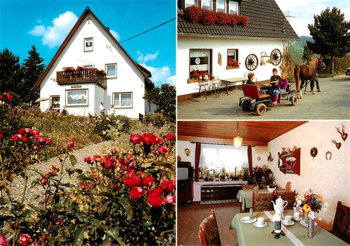 Braunshausen Sauerland Pension Hof am Wald Gaststube Ponykutsche