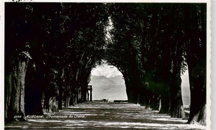 Aubonne  VD Promenade du Chene