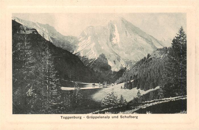 Toggenburg SG Graeppelenalp und Schafberg