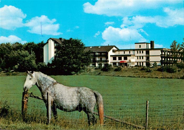 Rhenegge Diemelsee Sanatorium Sonnenhof Pferdekoppel