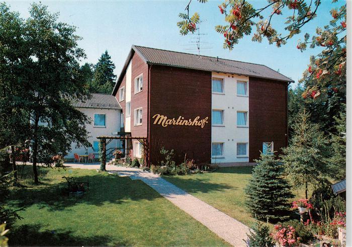 Hahnenklee-Bockswiese Harz Gaestehaus Martinshof